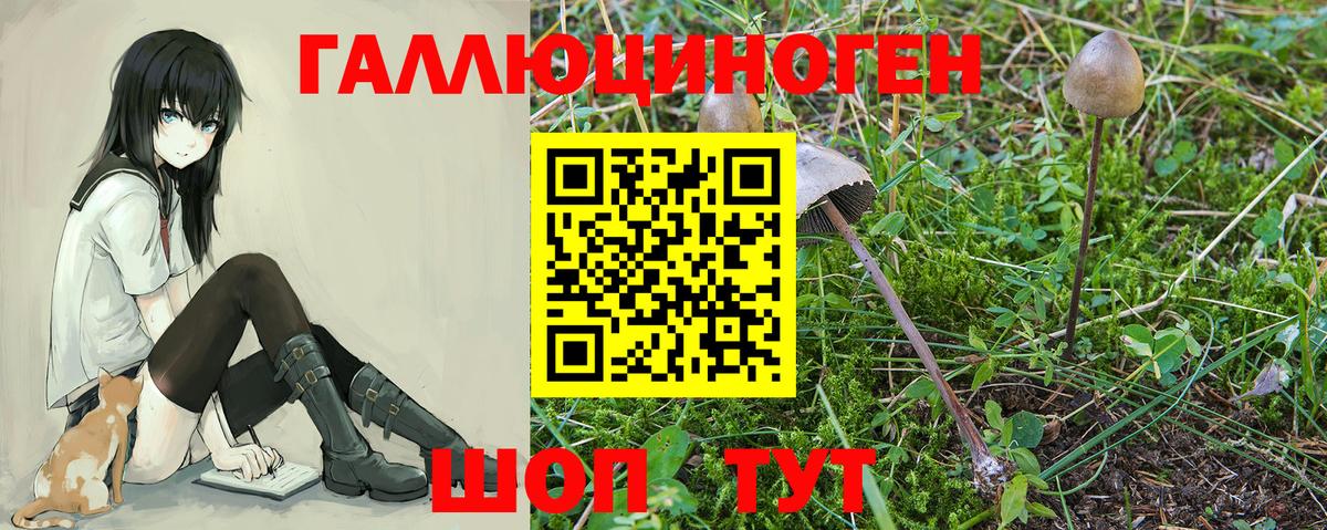Сергиев Посад  Галлюциногенные грибы мицелий  Псилоцибиновые грибы GOLDEN TEACHER  Вход с VPN 